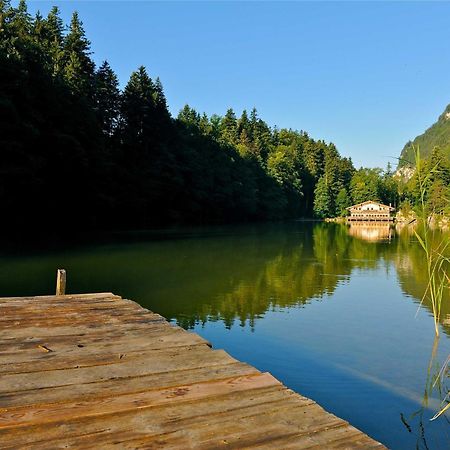 Alpapart Schneider Alpbach Esterno foto