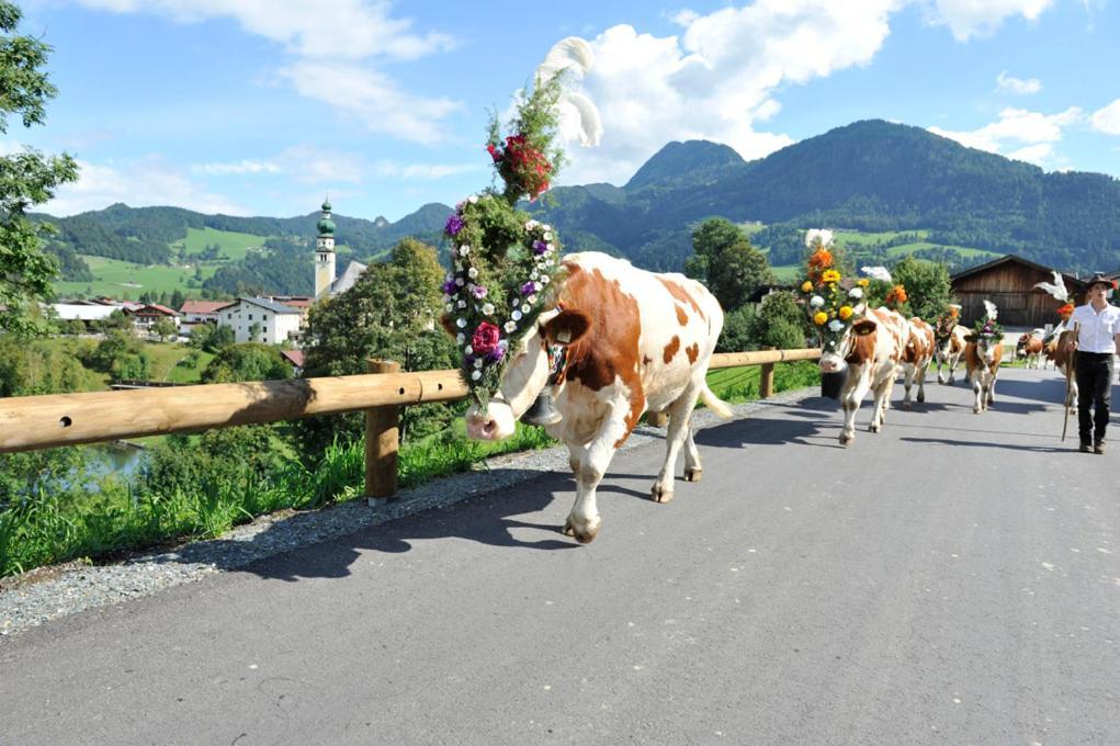 Alpapart Schneider Alpbach Esterno foto