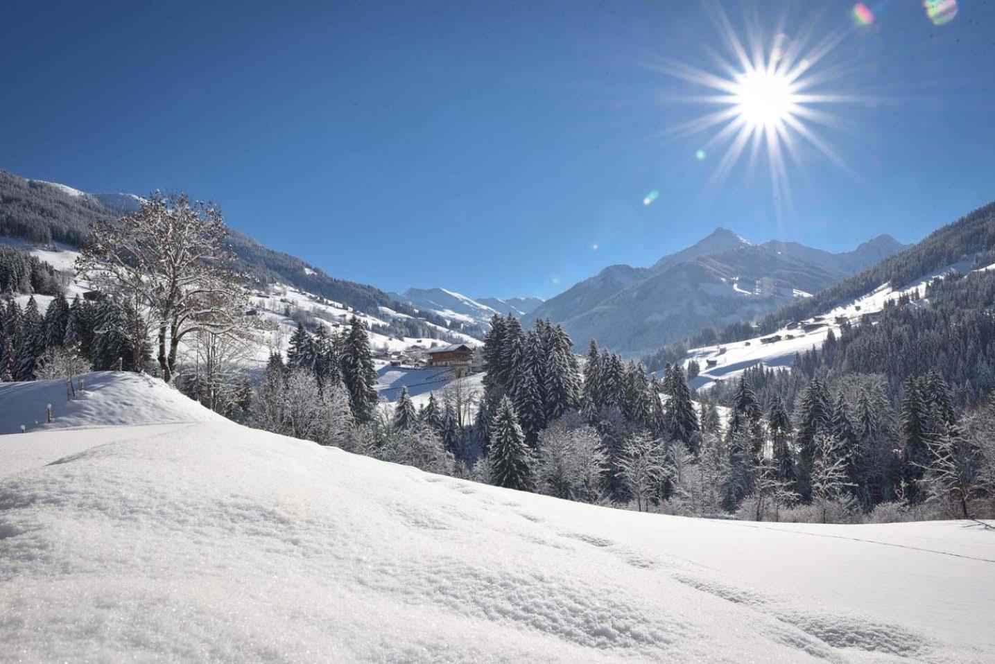 Alpapart Schneider Alpbach Esterno foto